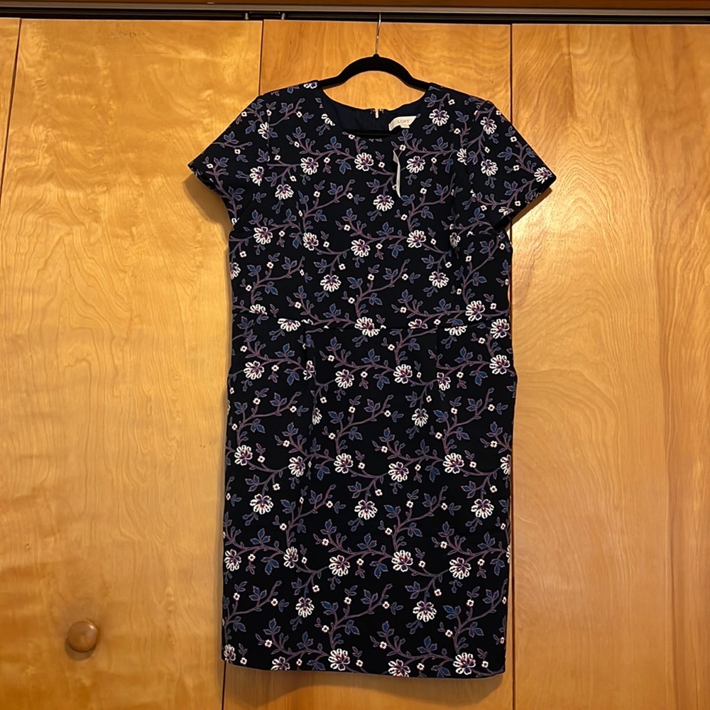 Loft dress! NWT.
